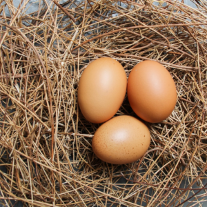 EggPVG