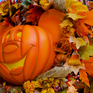 Pumpkin Video
