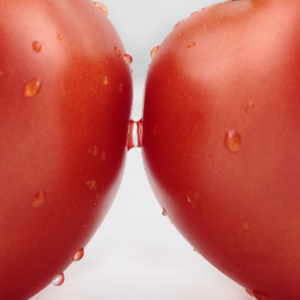 Tomato Mac
